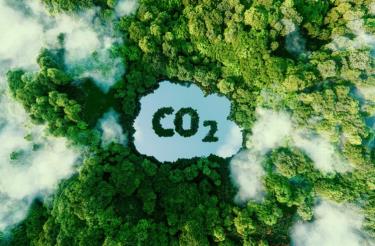 Định giá carbon - giải pháp hữu hiệu để đạt phát thải ròng bằng ‘0’